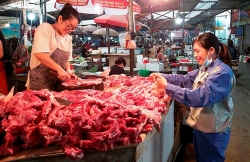 thu tuong nguyen xuan phuc ai ghim gia lon khong chiu xuat chuong se bi xu ly