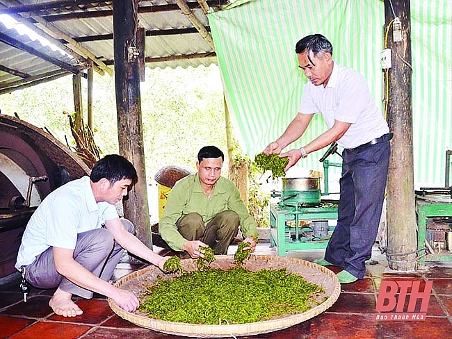 Từ phong trào thi đua yêu nước ở huyện Triệu Sơn, Thanh Hóa đã xuất hiện nhiều điển hình tiên tiến, những tấm gương xuất sắc, tiêu biểu đại diện cho tinh thần lao động cần cù, sáng tạo - Ảnh: Báo Thanh Hóa