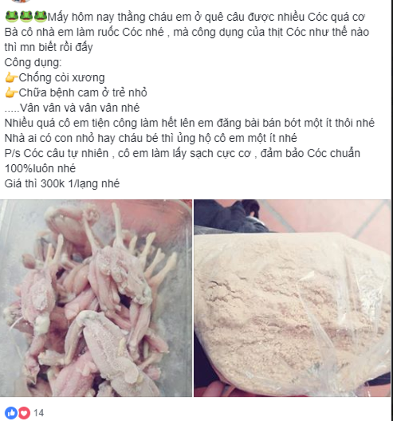 Thịt cóc có phải “thần dược” cho trẻ còi xương?
