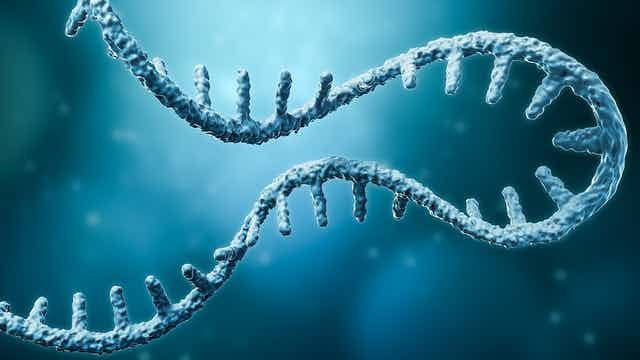 Các nhà nghiên cứu Australia đã phát triển một phương pháp xét nghiệm gene mới có khả năng giúp phát hiện cùng lúc 50 loại bệnh di truyền khác nhau. Ảnh minh họa: Getty Images