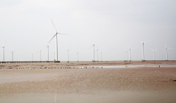 Điện gió Bạc Liêu: Bước đột phá trong phát triển năng lượng sạch