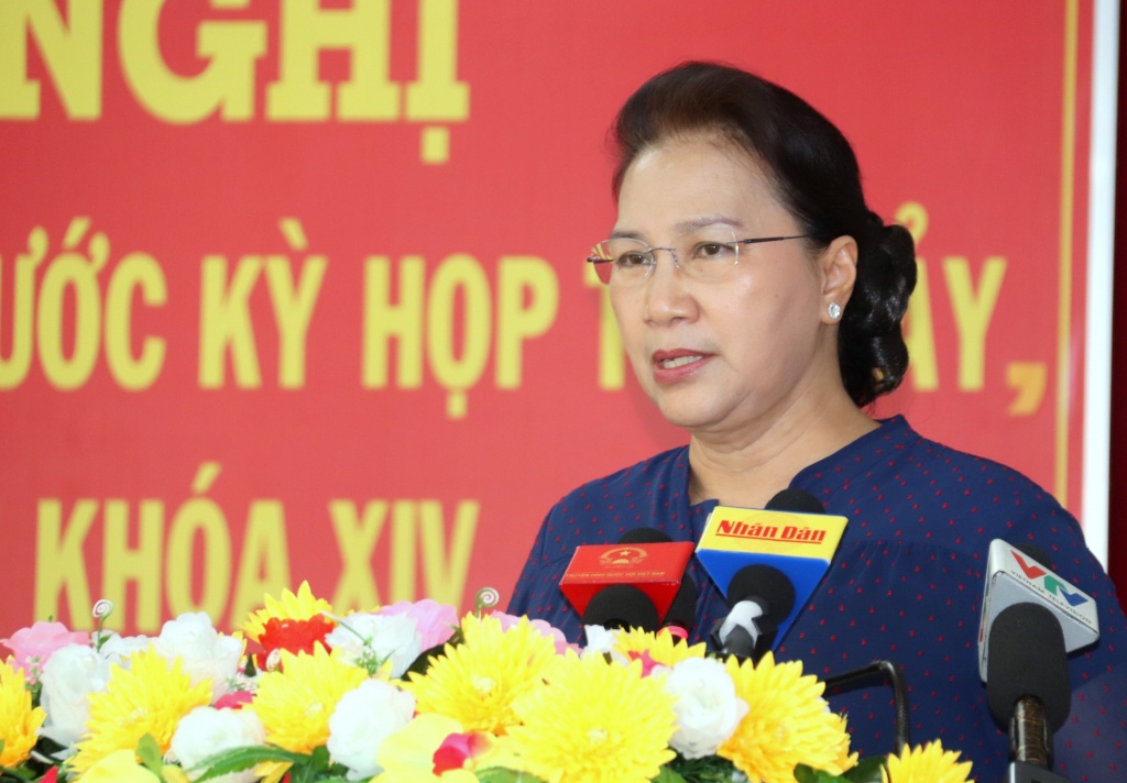cu tri kien nghi voi chu tich quoc hoi van de gia xang dien tang