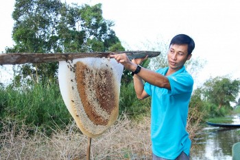 Cà Mau sắp diễn ra nhiều sự kiện văn hóa, du lịch hấp dẫn du khách trong và ngoài nước