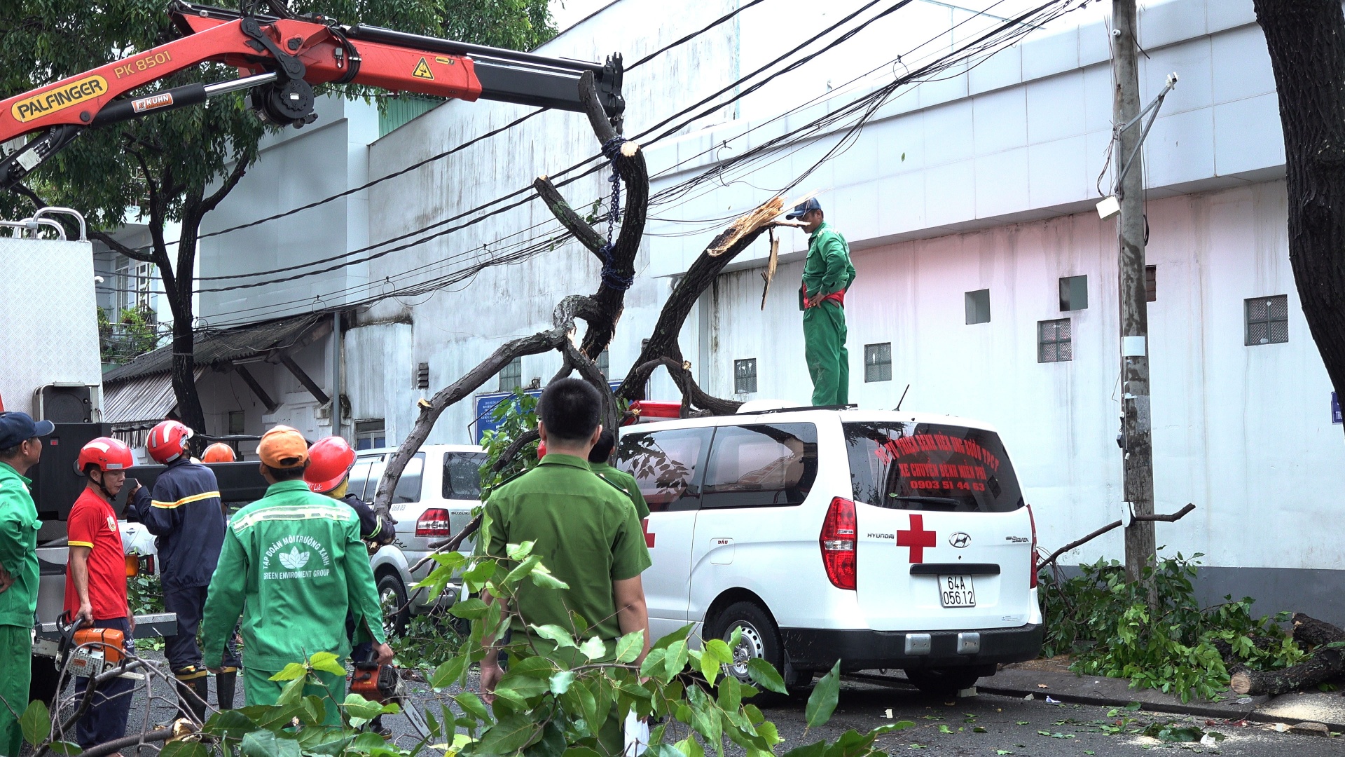 Nhiều cây xanh ở TP Cần Thơ ngã đổ trong mưa giông khiến hàng chục ô tô hư hỏng