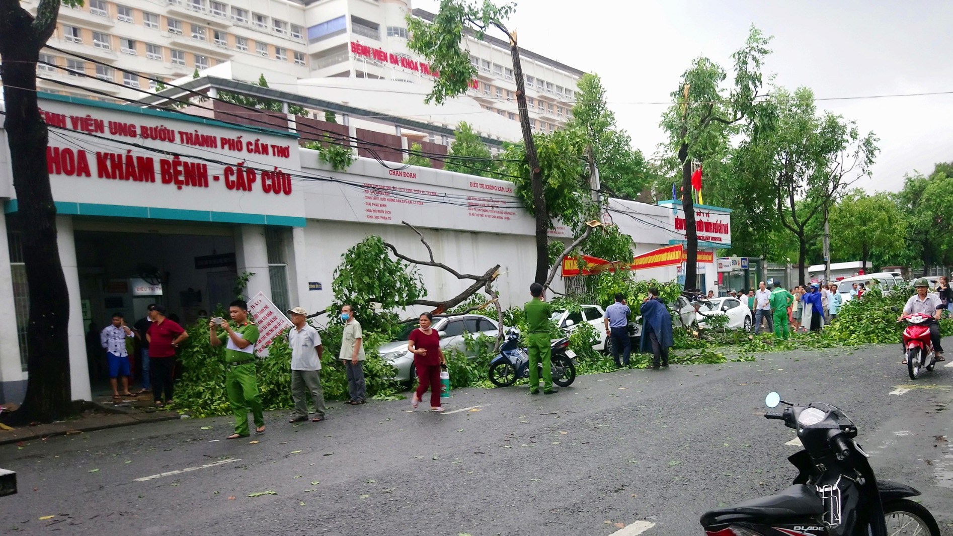 Nhiều cây xanh ở TP Cần Thơ ngã đổ trong mưa giông khiến hàng chục ô tô hư hỏng mua giong lam nhieu cay xanh o tp can tho nga do khien nhieu o to hu hong