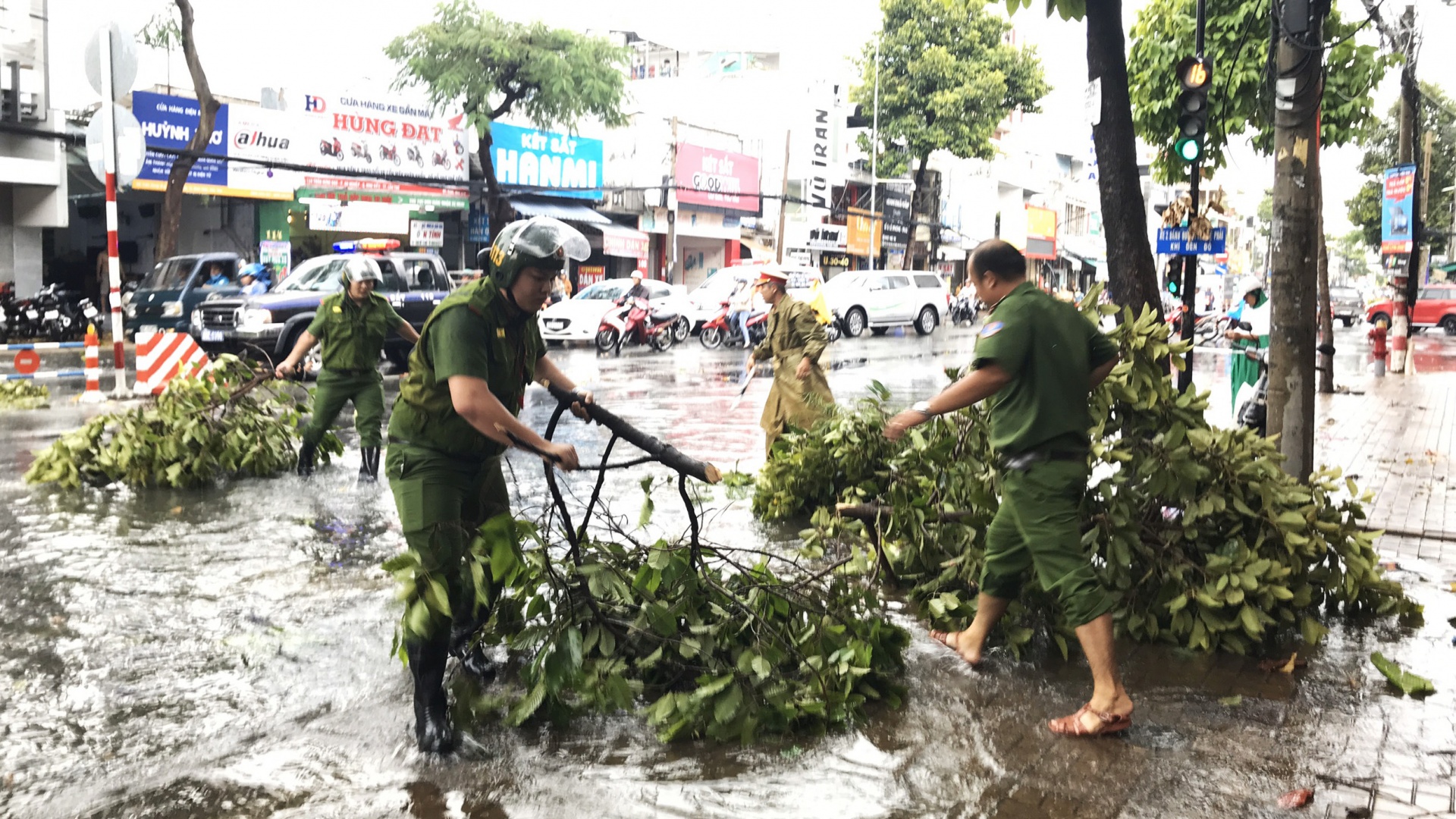 mua giong lam nhieu cay xanh o tp can tho nga do khien nhieu o to hu hong