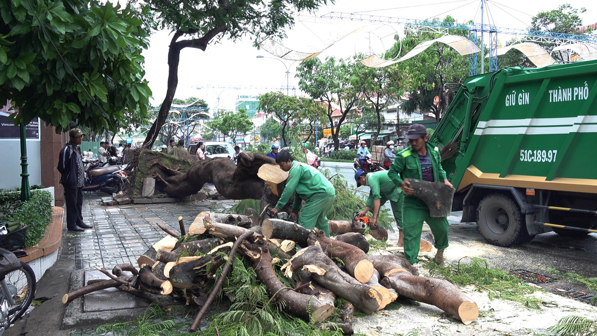 Nhiều cây xanh ở TP Cần Thơ ngã đổ trong mưa giông khiến hàng chục ô tô hư hỏng mua giong lam nhieu cay xanh o tp can tho nga do khien nhieu o to hu hong