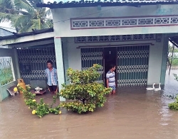 Cà Mau hàng trăm căn nhà bị sập, tốc mái, ngập nước do ảnh hưởng bão số 3