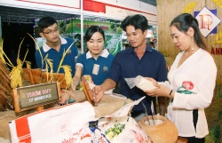 Hơn 800 gian hàng giới thiệu thành tựu và tiềm năng tại Festival lúa gạo Việt Nam lần thứ 4