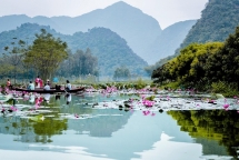 suoi yen dep nao long mua hoa sung qua ong kinh quang le