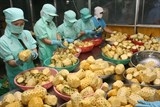 Nông sản Việt Nam bị thập diện mai phục
