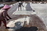 Muối rớt giá thảm, diêm dân mất Tết