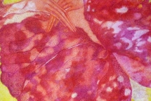 trien lam hoi ngo tai tp hcm