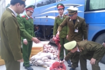 thanh hoa luc luong chuc nang thu giu nhieu thuc pham hoi thoi