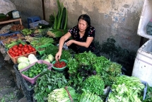 tang cuong dam bao an toan thuc pham tet nguyen dan