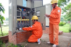 khong cat dien vao dip tet nguyen dan