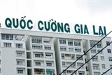 quoc cuong gia lai thoat bao