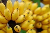 Ta khen ta hết lời nhưng… vẫn kém xa bạn!
