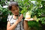 Trung Quốc tiết lộ lê hình Phật người Việt đang săn tìm