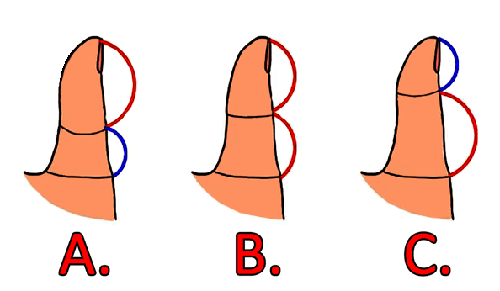 chi can nhin 2 dot ngon tay cung biet con nguoi ban ra sao