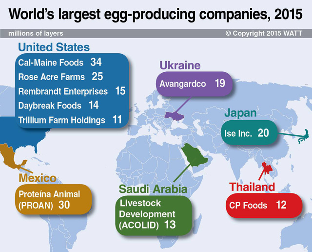 nam dau hoi kho khong phai cp ban co biet tap doan bi an nao dang cung cap trung ga chung ta an hang ngay nhieu nhat khong