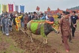 ha nam le hoi tich dien doi son 2017 duoc to chuc trong 3 ngay