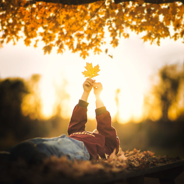 cau chuyen ve hai cau mau nhi da gian tiep day ong bo nhiep anh gia nghiep du cach chup anh dep