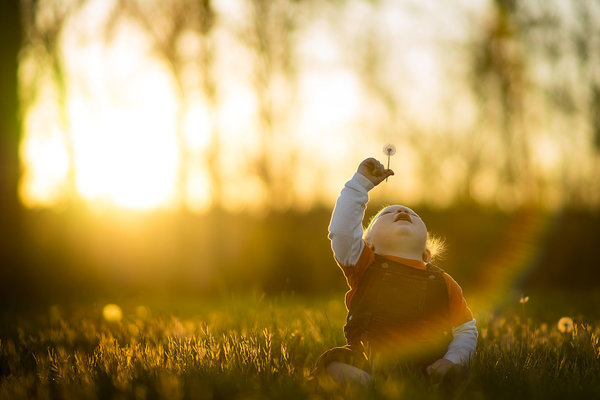 cau chuyen ve hai cau mau nhi da gian tiep day ong bo nhiep anh gia nghiep du cach chup anh dep