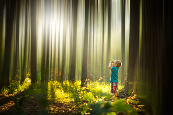 cau chuyen ve hai cau mau nhi da gian tiep day ong bo nhiep anh gia nghiep du cach chup anh dep