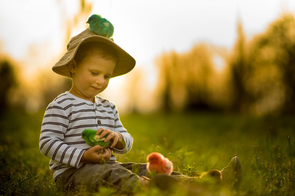 cau chuyen ve hai cau mau nhi da gian tiep day ong bo nhiep anh gia nghiep du cach chup anh dep