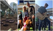 day la cach nguoi ta da bien mot con duong thanh cong vien xanh mat o miami