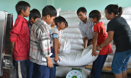 yeu cau hoan thanh ho tro gao cho nhan dan trong dip tet den 241