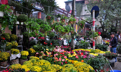 5 cho hoa noi tieng ha noi dip tet nguyen dan 2017