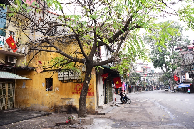 ha noi khac la ma than quen sang mung 1 tet