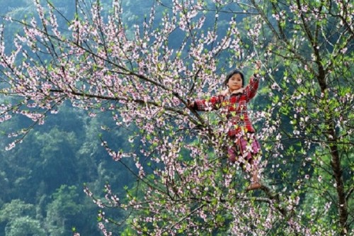mung 4 tet mien bac mua nhieu noi