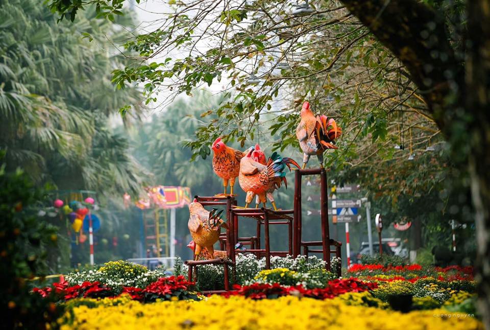 ruc ro le hoi hoa xuan lon nhat mien bac dip nam moi