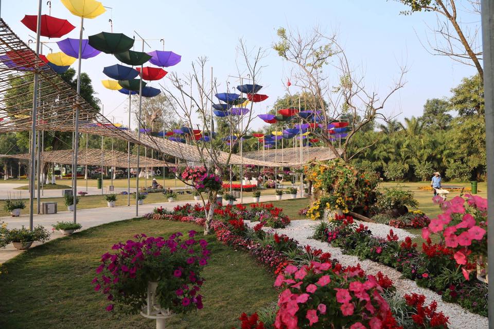 ruc ro le hoi hoa xuan lon nhat mien bac dip nam moi