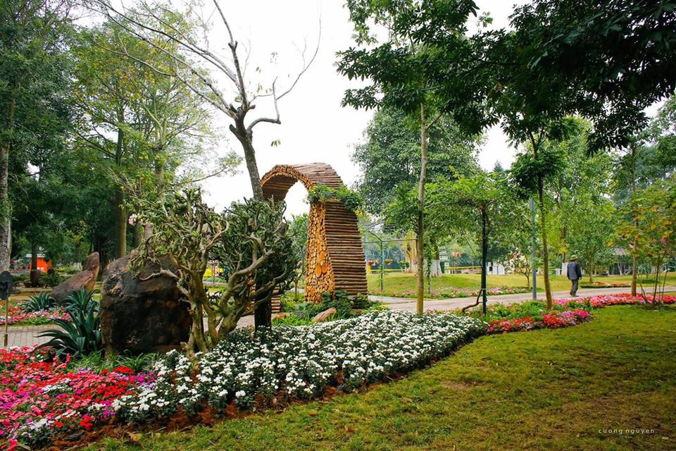 ruc ro le hoi hoa xuan lon nhat mien bac dip nam moi