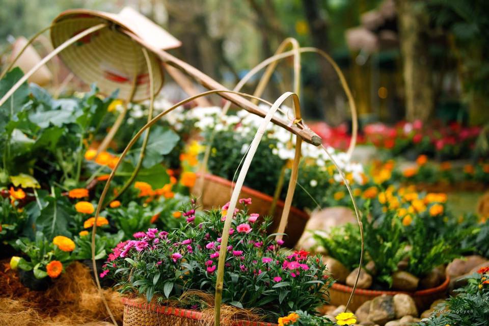 ruc ro le hoi hoa xuan lon nhat mien bac dip nam moi