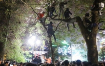Nhiều thanh niên trèo cây, đứng trên thùng rác, WC... tại phố đi bộ Hà Nội để xem ca nhạc đêm giao thừa