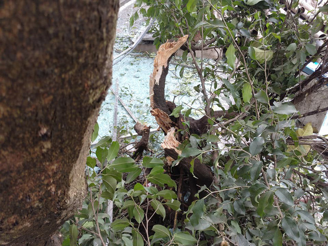 bac ninh suc cong pha cua vu no khung khiep den noi tao ra ho sau lon nhieu cua kinh cuong luc cach 200 300 met vo nat