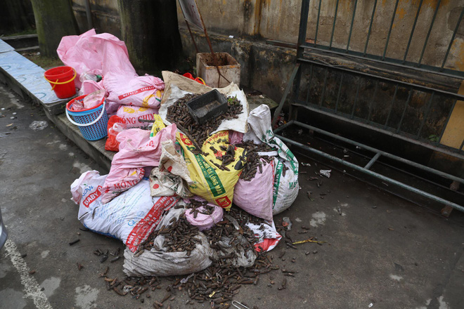 thu gom duoc 500kg vo dan quanh khu vuc hien truong vu no kinh hoang o bac ninh