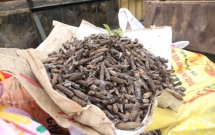 thu gom duoc 500kg vo dan quanh khu vuc hien truong vu no kinh hoang o bac ninh