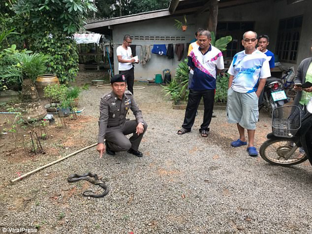 mo cua phong cu ba dau don phat hien chau gai 9 tuoi bi ran ho mang can chet tu bao gio