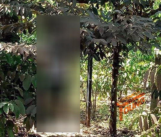 vu chong chem vo tu vong roi treo co 2 con nho mo coi khong ai nuoi nang
