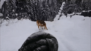 14 ly do vi sao ai cung thich di truot tuyet cho biet