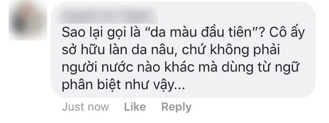 fanpage hoa hau hoan vu viet nam bi chi trich khi goi hhen nie la hoa hau da mau dau tien