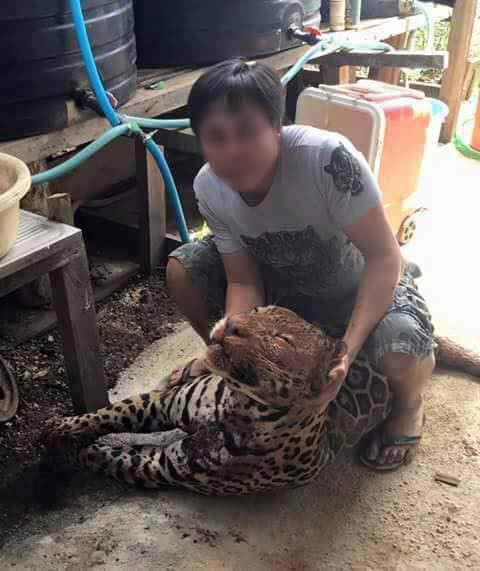 khoe chien tich san thu quy hiem tren facebook thanh nien bi cu dan mang chi trich