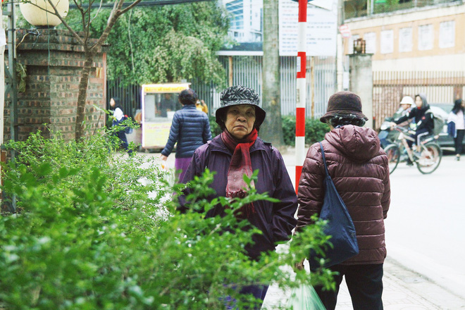 du da het mua nhung ha noi van ret cam cam vung nui cao xuat hien bang gia
