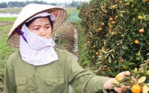 hinh anh nguoi nong dan khoc nghen ben 450 goc quat bi pha hoai dip can tet khien cong dong mang xot xa